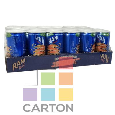 RANI FLOAT JUICE 24*180ML